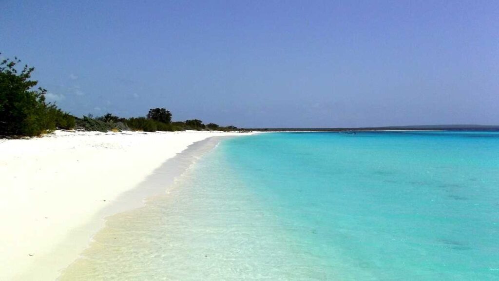 The amazing and gorgeous Bahia de las Aguilas, one of the best beaches in the Dominican Republic