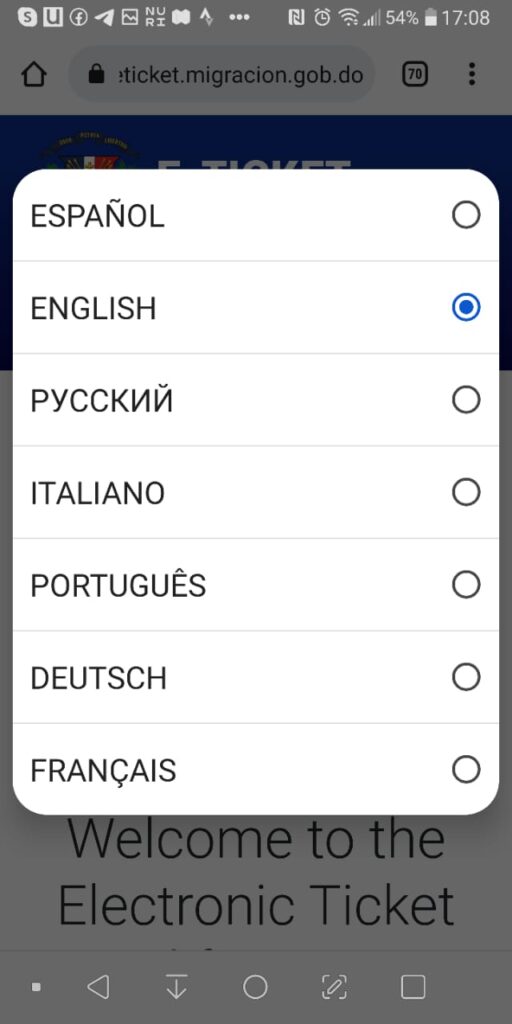 Filling out the Dominican Republic e-ticket on a mobile phone